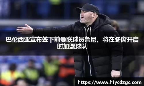 yy易游体育平台