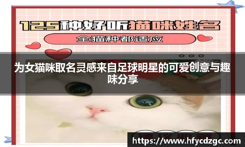 为女猫咪取名灵感来自足球明星的可爱创意与趣味分享